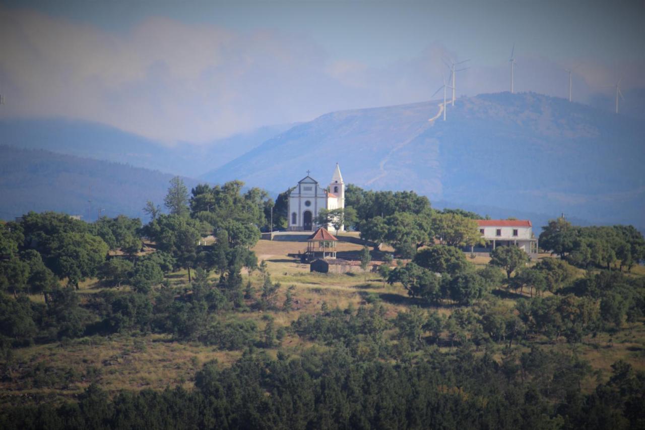 Quinta Da Rocha 1875 Villa Pedrógão Pequeno Exteriör bild